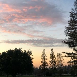 Meet your Posher, Shelby